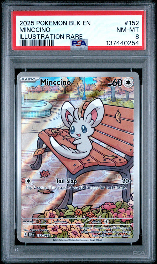 2025 POKEMON BLK EN-BLACK BOLT 152 MINCCINO ILLUSTRATION RARE - PSA NEAR MINT-MINT 8