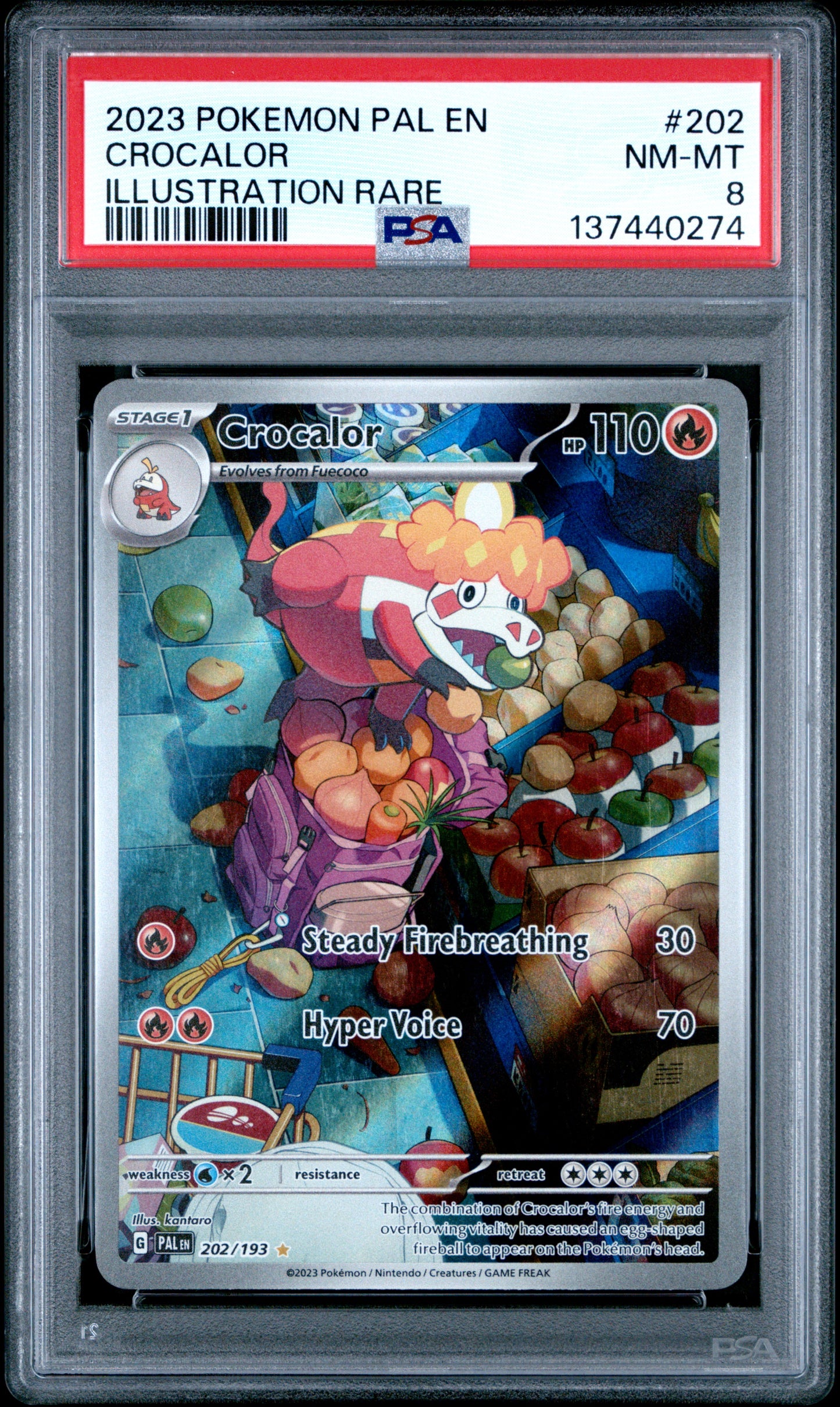 2023 POKEMON PAL EN-PALDEA EVOLVED 202 CROCALOR ILLUSTRATION RARE - PSA NEAR MINT-MINT 8